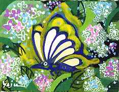 Butterfly in Hydrangeas